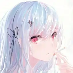 用户 追番的狐狸 头像